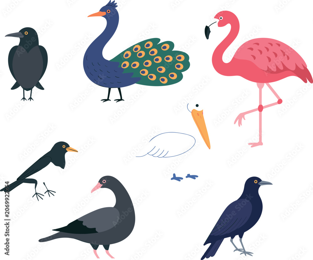 Obraz premium Diverse cartoon bird illustration set featuring a pink flamingo, peacock, pigeon, pelican, and black crows isolated on a white background