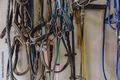 Fotografie Horse bridle, Equestrian equipment, Leather belt line tack, Horse harness, Horse