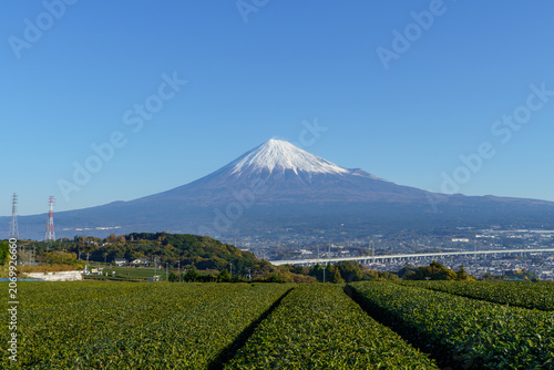 Fotografie Beautiful green tea plantation with Mount Fuji and the Shinkansen bullet train tracks under a clear blue sky in Fuji City, Shizuoka, Japan
