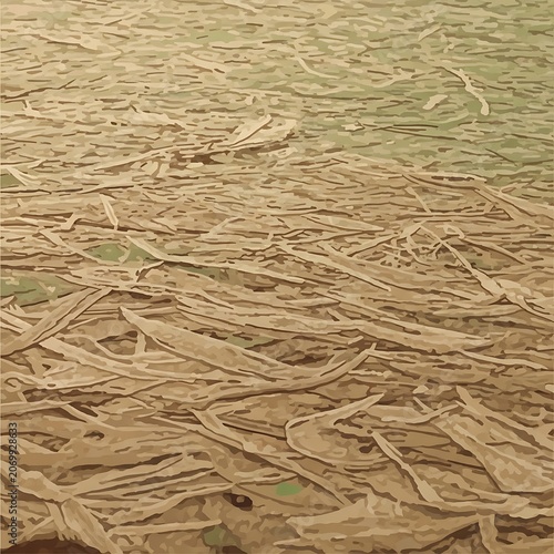 Close-up view of dry cracked earth surface pattern.
