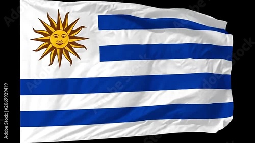 The flag of Uruguay is waving proudly in the wind.