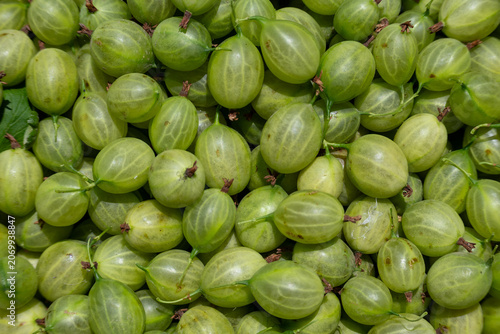 Photography Fresh Green Gooseberries Background Close Up