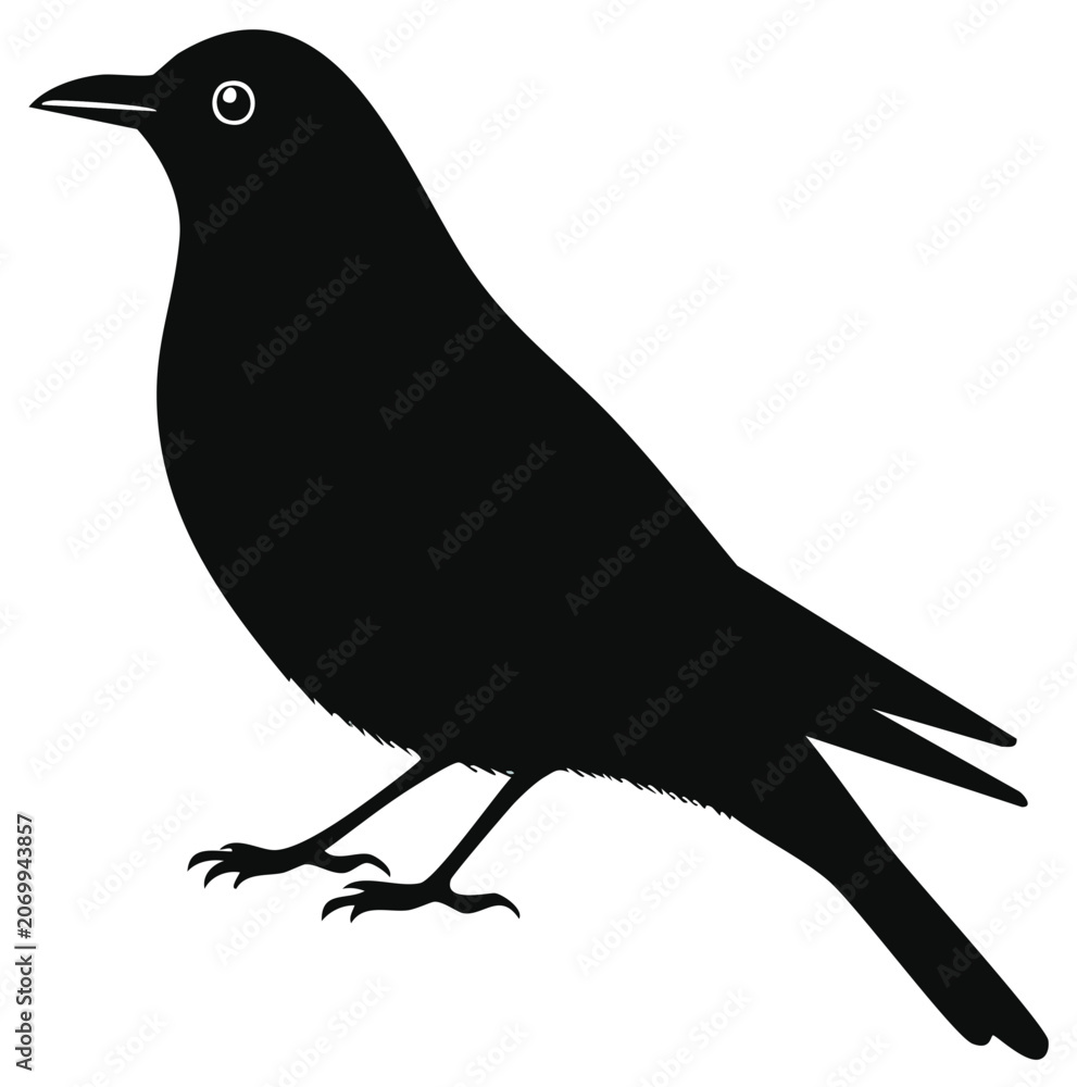 Obraz premium Silhouetted black crow illustration, side view, against a white background