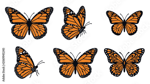 Schilderij op canvas Monarch butterflies in various flight and resting positions