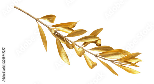 Golden autumn leaves branch isolated on transparent background with natural fall foliage