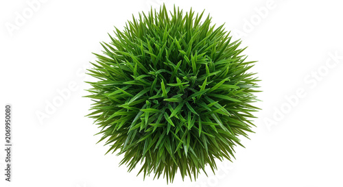 Vibrant Green Artificial Grass Ball Isolated on Transparent Background for Design