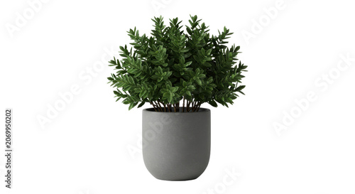 Lush green potted plant isolated on transparent background for design projects