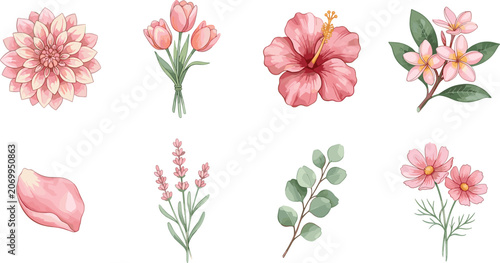Watercolor Pink Floral Elements Set Featuring Dahlia Tulips Hibiscus Plumeria Lavender Cosmos Flowers Petal and Eucalyptus Leaves Vector Illustration