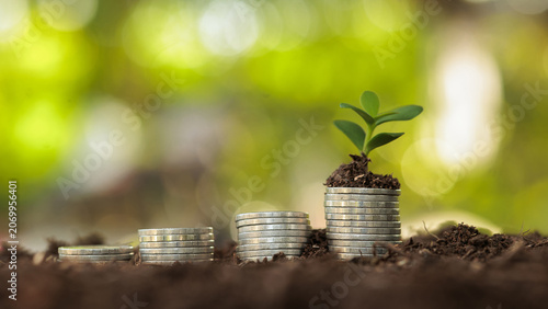 Growing Plant on Coins Stack with Financial Chart Concept Stock Photo