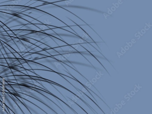 Fotografie Fine black lines crisscross against a muted blue background