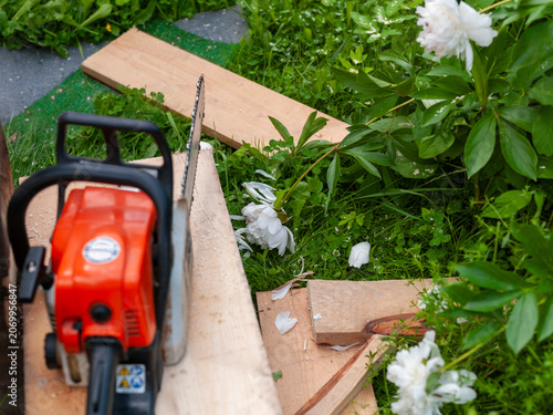 high-powered petrol chainsaw and peonies