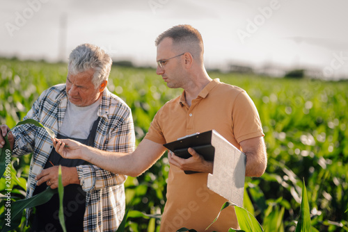 Εκτύπωση καμβά Agronomist discussing crop quality with farmer in corn field