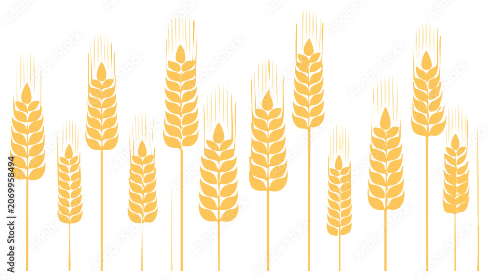 Obraz premium Stylized golden wheat stalks and grain vector illustration for agriculture harvest and food themes