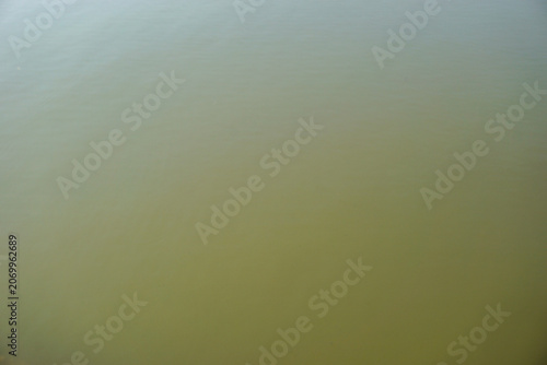 Fotografija A high-angle background shot capturing the smooth yet opaque surface of calm, greenish-brown murky water in a river, pond, or lake
