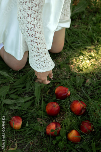 Creative portrait of woman in white lace outfit posing with red apples, balancing fruit on her head. Close up of girl with scraped, wounded knees covered with a green leaf in nature. Fairytale concept