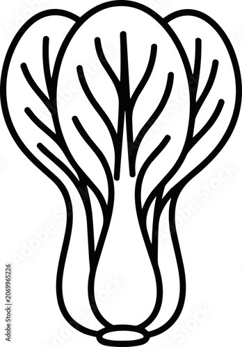 Tableau sur toile Bok Choy illustration, simple line art vegetable, healthy food icon, fresh green