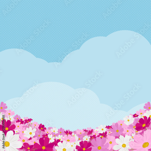 コスモスと青空の風景　背景・フレーム素材（正方形）