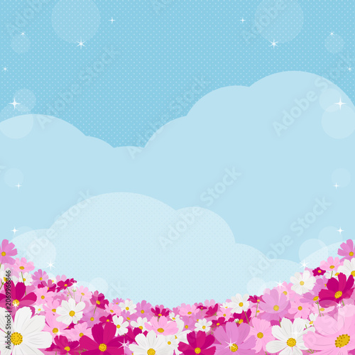コスモスと青空の風景　背景・フレーム素材（正方形）