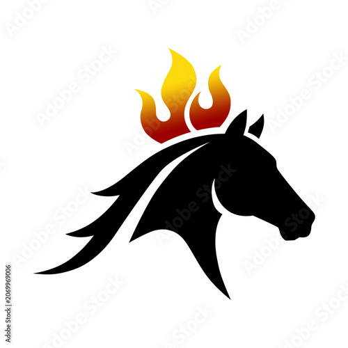 Horse Head with Fire Mane Illustration