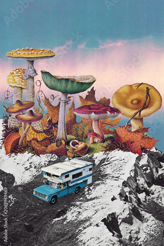 Obraz na plátně A truck camper parked and rested on a mountaintop where numerous giant mushrooms grew