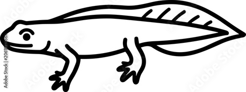 Foto Tadpole with legs, salamander larva, amphibian life, simple line drawing
