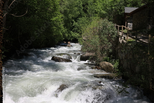 View of the crystal-clear Valira d'Orient river in La Massana, Andorra  