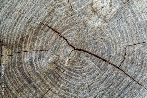 Natural wood texture with grain, resin, and cracks.