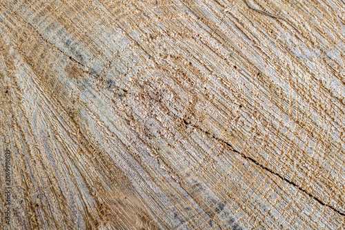 Natural wood texture with grain, resin, and cracks.