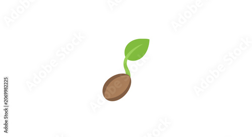 Illustration depicting seed germination and early plant development for educational uses