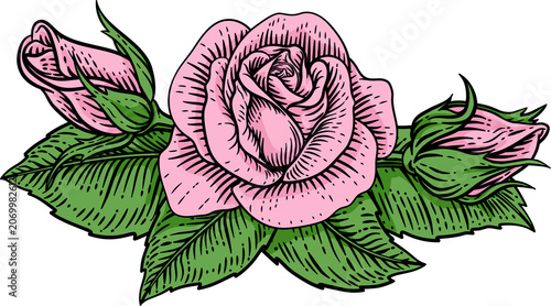 Foto A rose flower woodcut illustration in a vintage engraved etching woodcut style