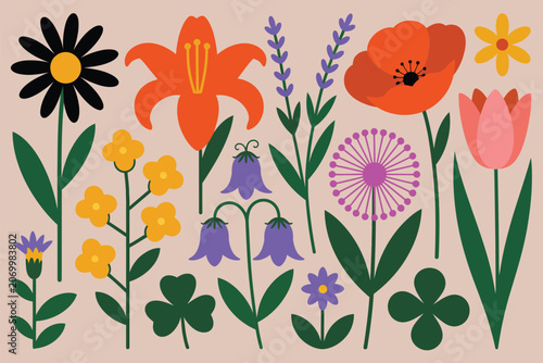 Spring wildflowers floral botanical illustration elements