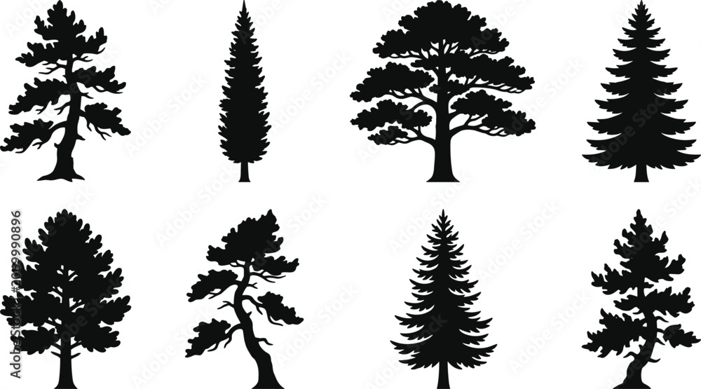 Fototapeta premium Set of Pine and Evergreen Tree Silhouettes Isolated Vector Forest Collection
