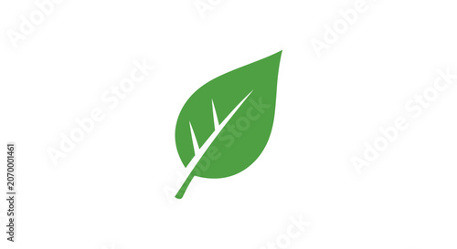 Simple Green Leaf Illustration Representing Nature, Ecology, and Environmentalism without a comma