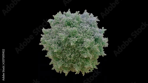 3D structure of AAV2 Adeno-Associated Virus2 capsid 60-mer, replication-defective non-pathogenic, HSPG binding, liver, retina, kidney, CNS. Primarily for LCA retinal disease, Hemophilia B Gene Deliver