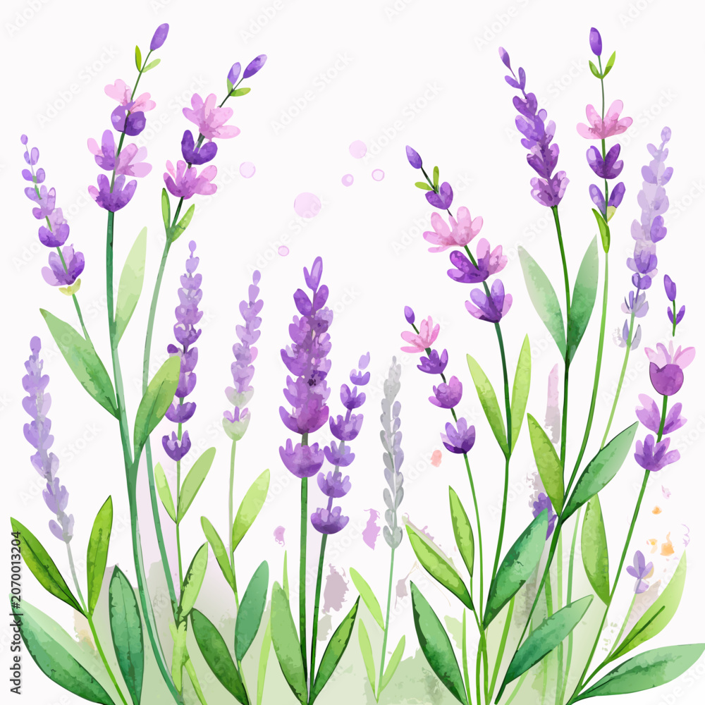 Obraz premium Watercolor Lavender Floral Border with White Copy Space