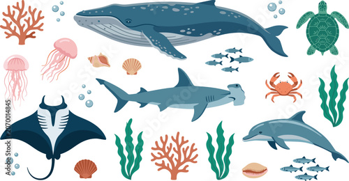 Ocean wildlife collection featuring whale dolphin manta ray hammerhead shark turtle and marine life illustrations