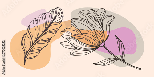 Botanical line art composition with elegant flower and leaf on pastel abstract shapes botanical minimalist abstract illustration composition background creative backdrop feminine interior