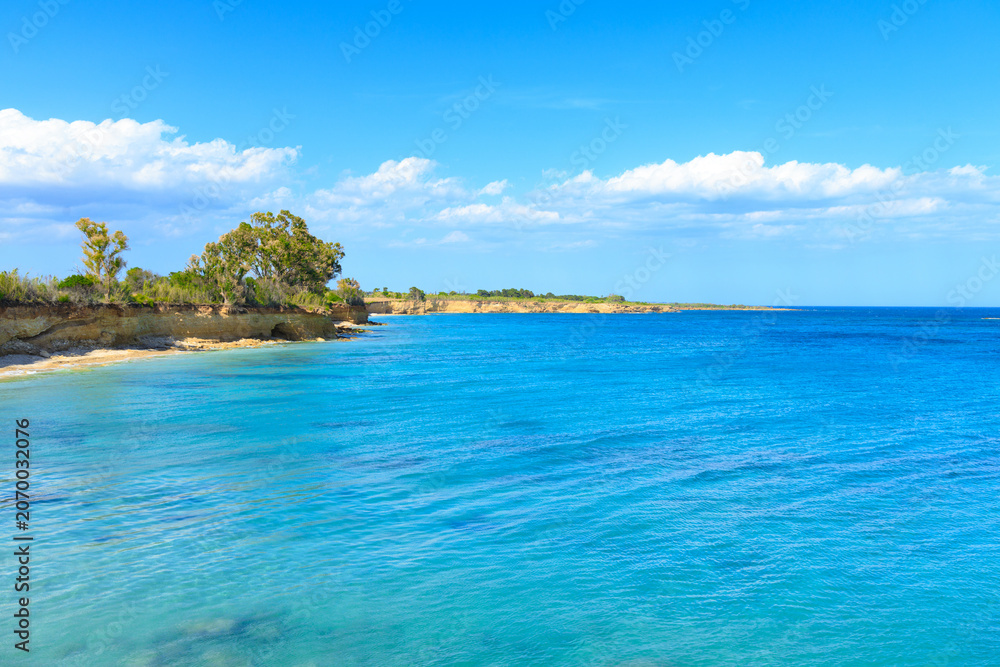 Fototapeta premium Idyllic south island coastline with clear turquoise waters and lush green vegetation