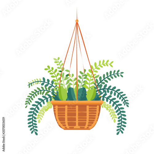 Hanging basket with green plants vector illustration