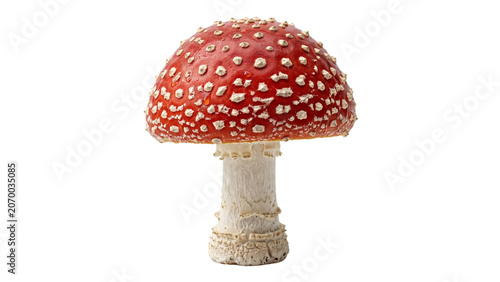 Cuadro en lienzo Poisonous fly agaric mushroom with red cap and white spots isolated on transpare