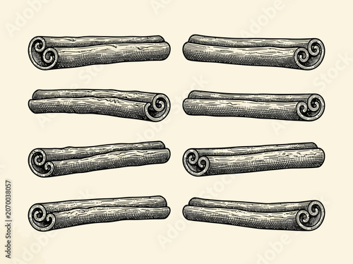 A delightful collection of cinnamon sticks illustrated in a vintage engraving style