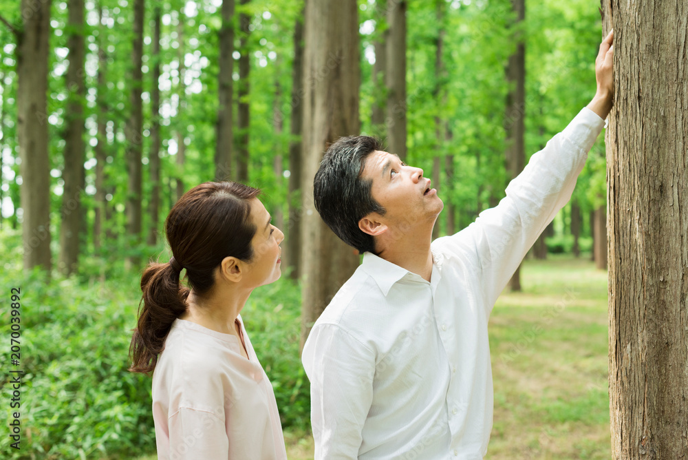 Fototapeta premium 森の大木の下で寄り添う40代夫婦