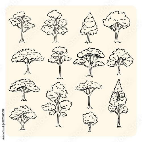 Various types of trees and forest plants hand drawn doodle collection. Botanical outline sketch icons, nature park vegetation elements isolated on white background.