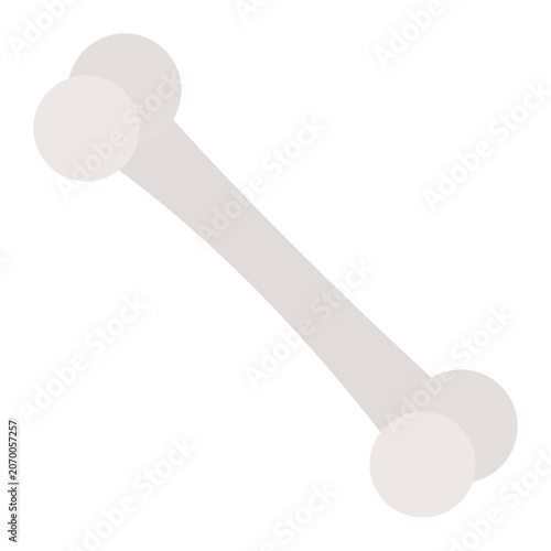 Bone Flat Design Icon Vector Isolated on White Background for Pet Care and Veterinary Concept