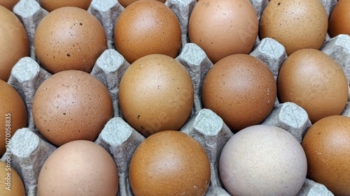 Photos Brown eggs rest in a cardboard carton