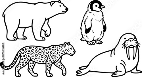 Photography Set of wild animals line art drawing featuring polar bear penguin leopard and wa