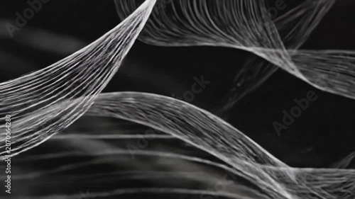 Abstract flowing white lines on a dark black background surface