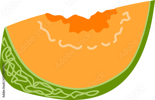 Foto rockmelon fruit illustration