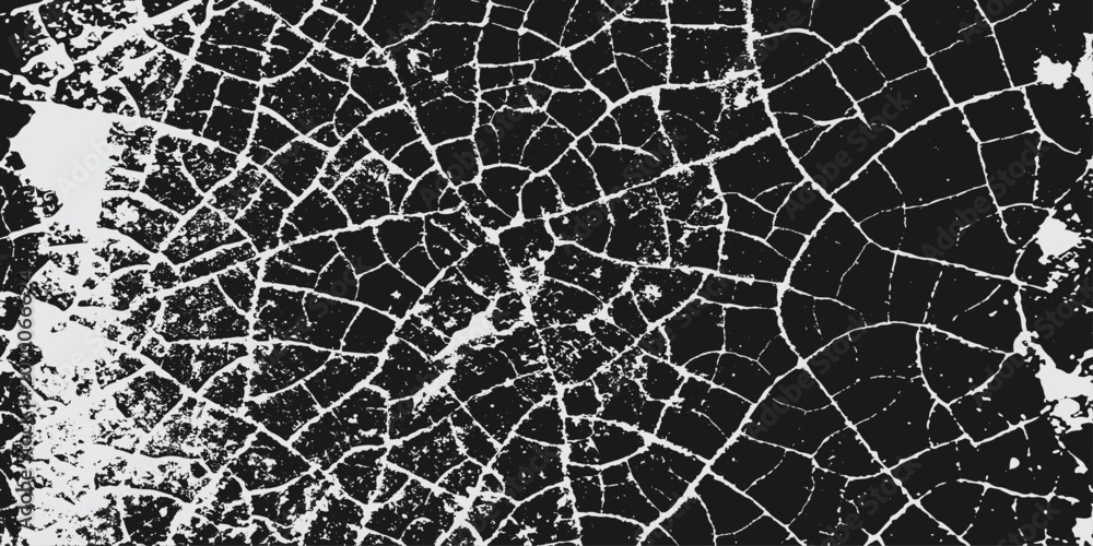 Naklejka premium Seamless Black and White Cracked Spider Web Texture Pattern Abstract Grunge Geometric Stone Surface Background Wallpaper Vector Illustration