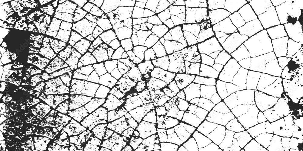 Obraz premium Spider Web with Dew Drops on Window Creating Abstract Natural Texture Pattern Against Weathered Rough Surface Background